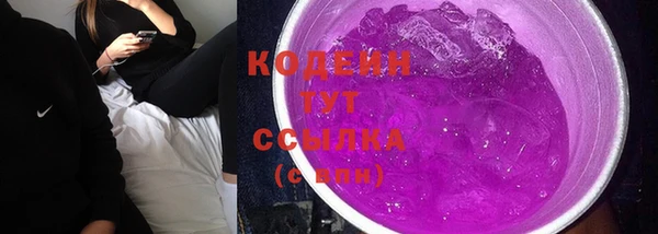 PSILOCYBIN Корсаков