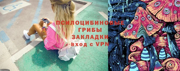 прущие крисы Краснотурьинск