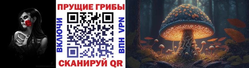 Псилоцибиновые грибы Psilocybine cubensis Полтавская