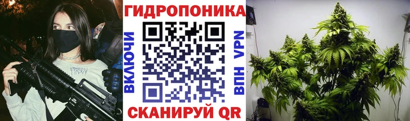 хочу наркоту  Полтавская  Бошки марихуана MAZAR 